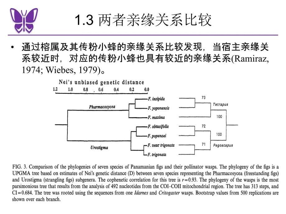 昆虫与植物协同进化15-12-副本_第5页