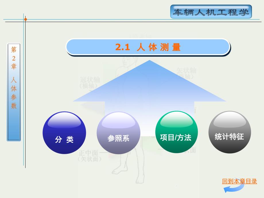 车辆人机工程学课件_第2章_第3页