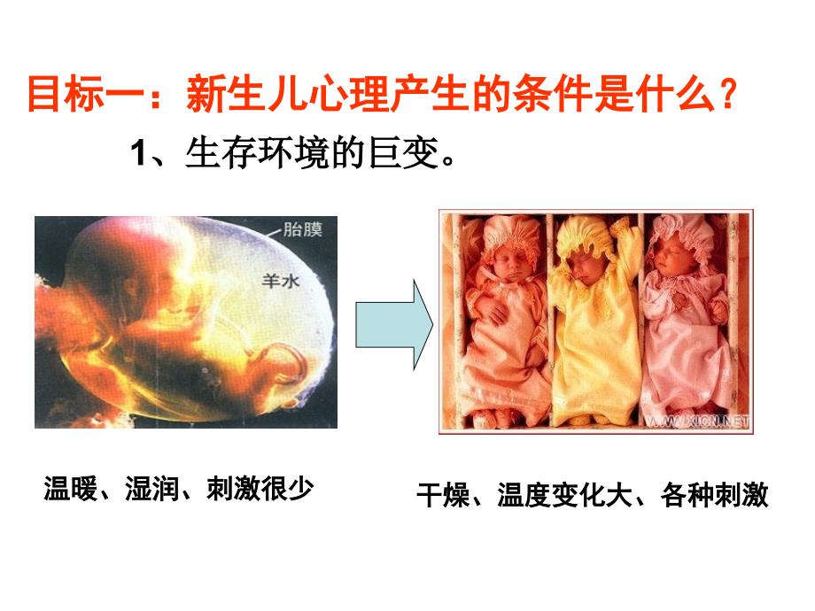 二新生儿xinli_第3页