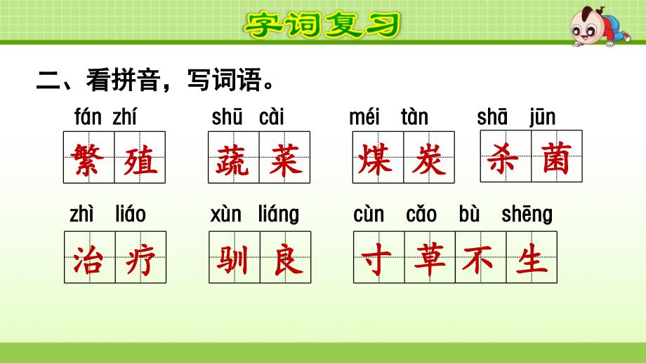 部编版（统编）小学语文五年级上册第5单元复习教学课件PPT_第3页