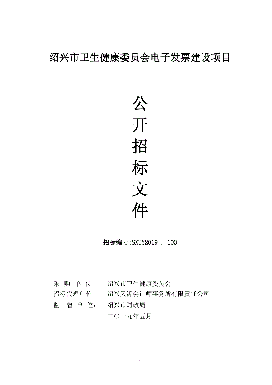 电子发票建设项目招标文件_第1页