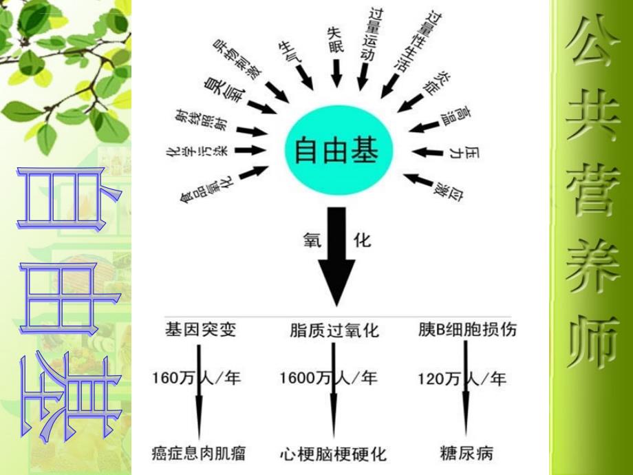 第三章.营养咨询和教育1（选用）.ppt_第4页