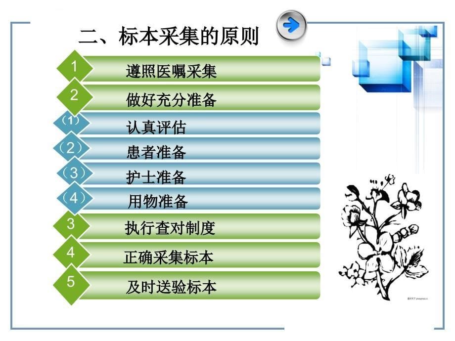 第十七章-标本采集.ppt_第5页