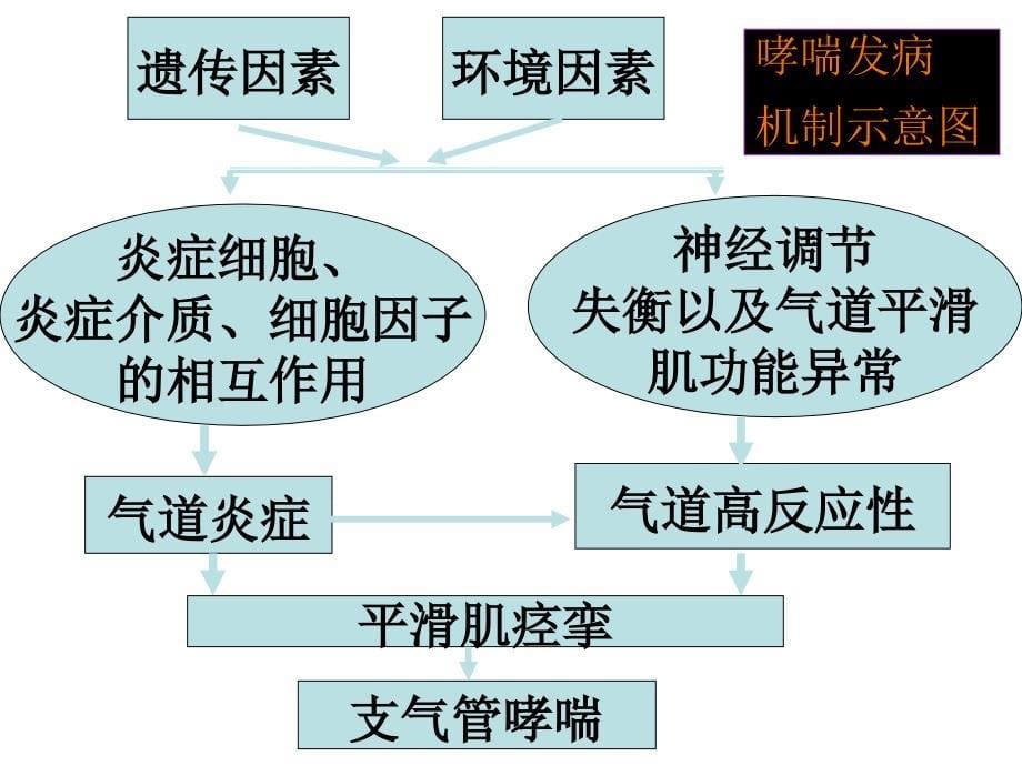 第22章治疗呼吸系统疾病药物.ppt_第5页