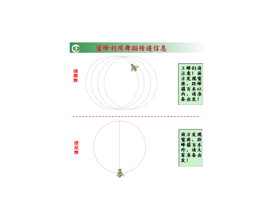 生态系统的信息传递354_第3页