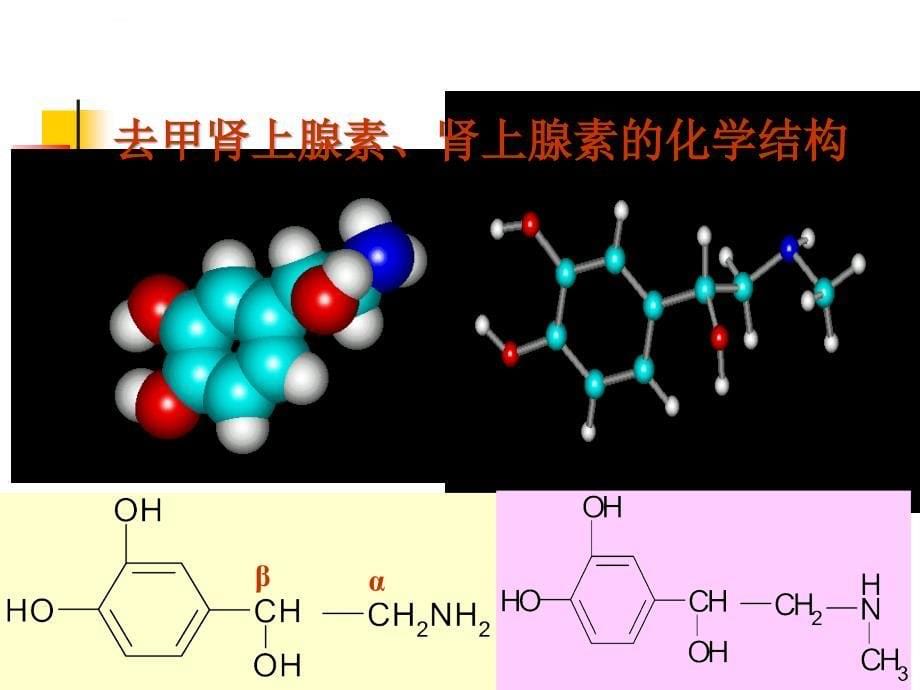 肾上腺素受体激动药_13课件.ppt_第5页