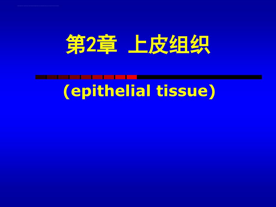 组织学与胚胎学上皮组织_1.ppt_第1页