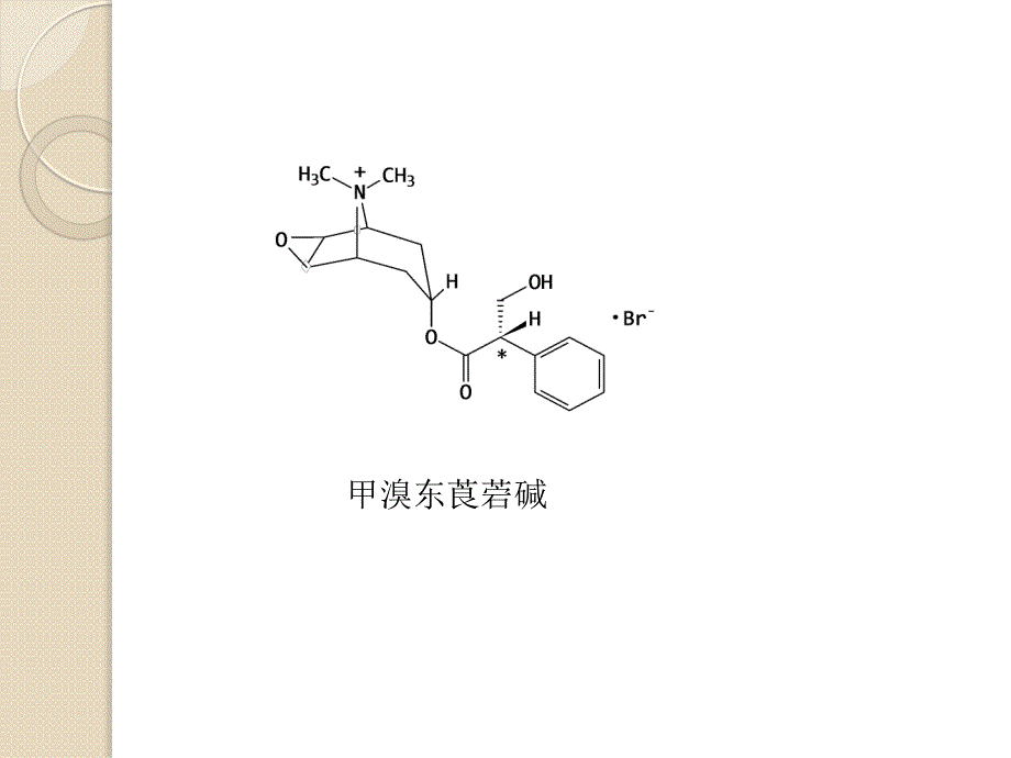 刘俞利-药学九班-莨菪烷类抗胆碱药物分析.ppt_第4页