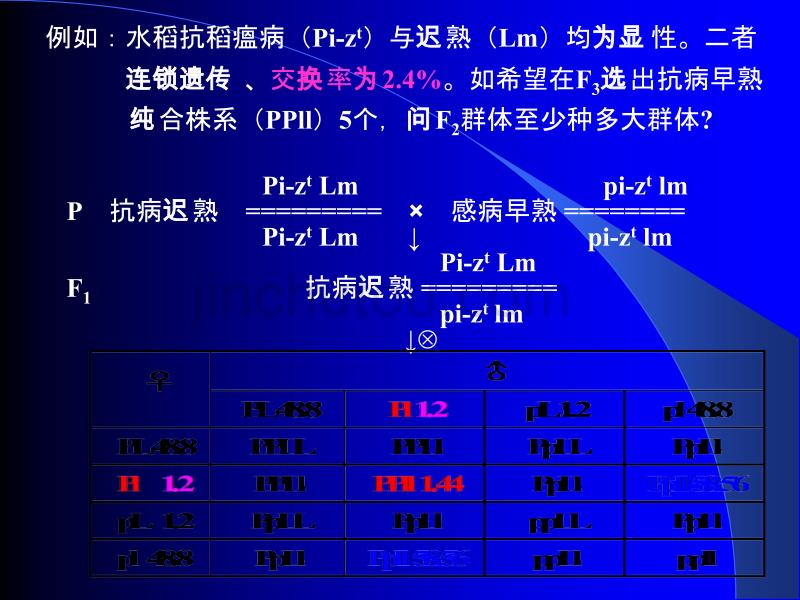 连锁遗传2汇编_第2页