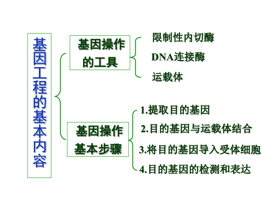 选修三基因工程汇编_第4页