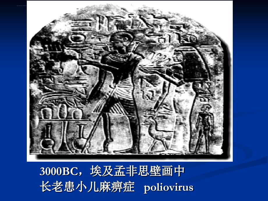 动物微生物病毒.ppt_第2页