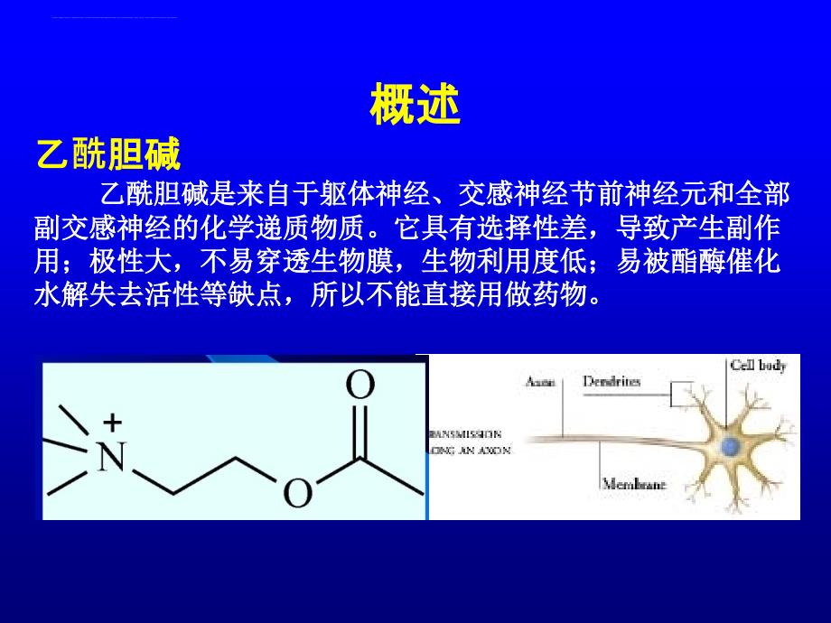 拟胆碱药和抗胆碱药_2.ppt_第3页