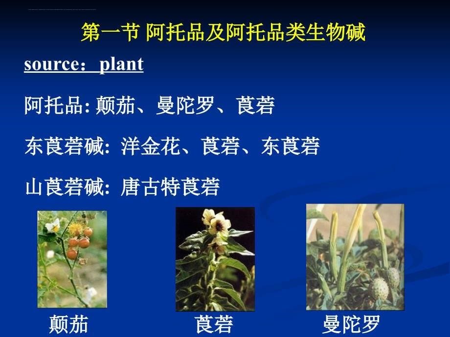 第八九章-胆碱受体阻断药.ppt_第5页