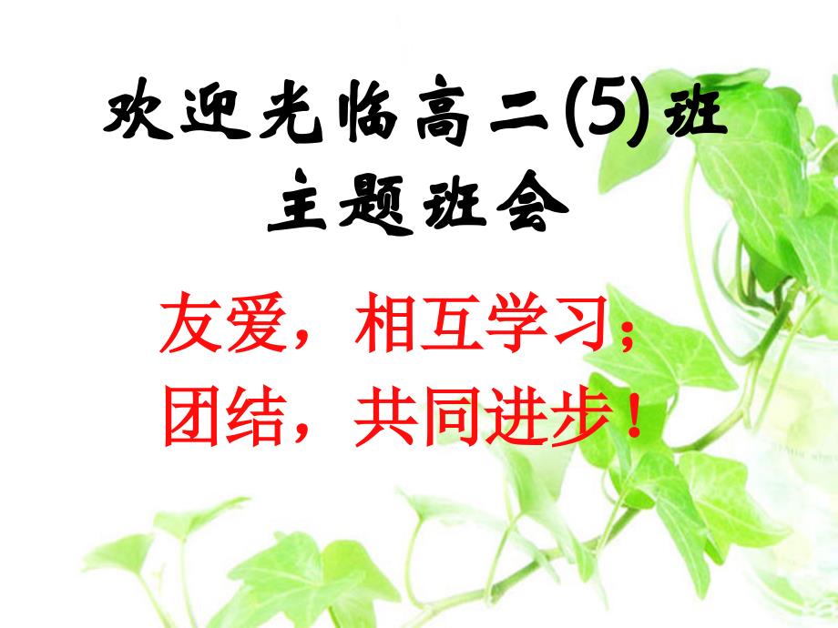 友爱,互相学习;团结,共同进步概要_第1页