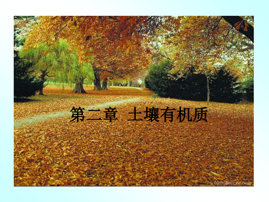 第二章-土壤有机质.ppt_第1页