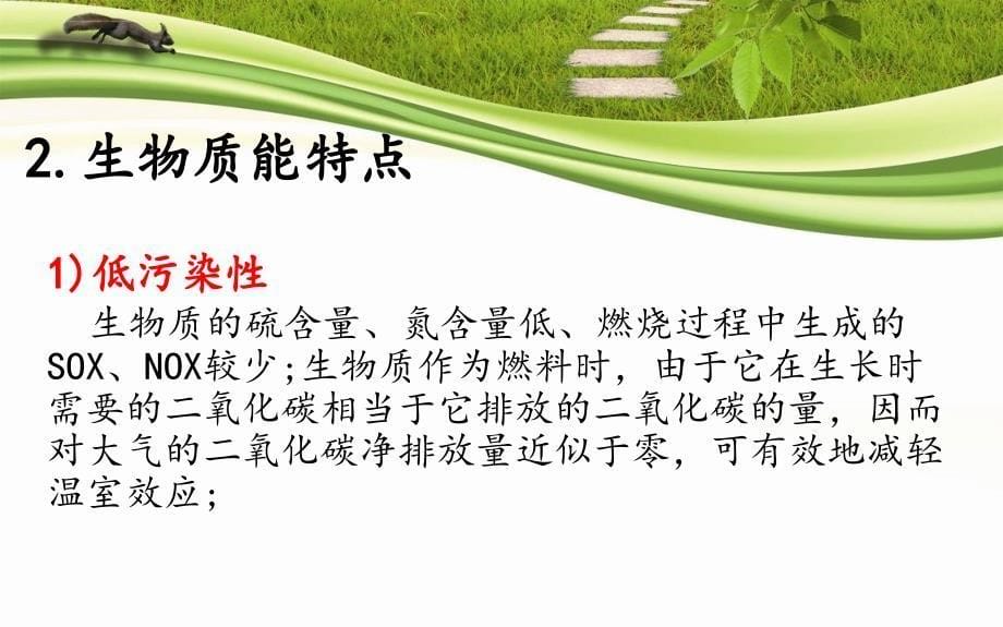 生物质能的研究现状与未来.ppt_第5页