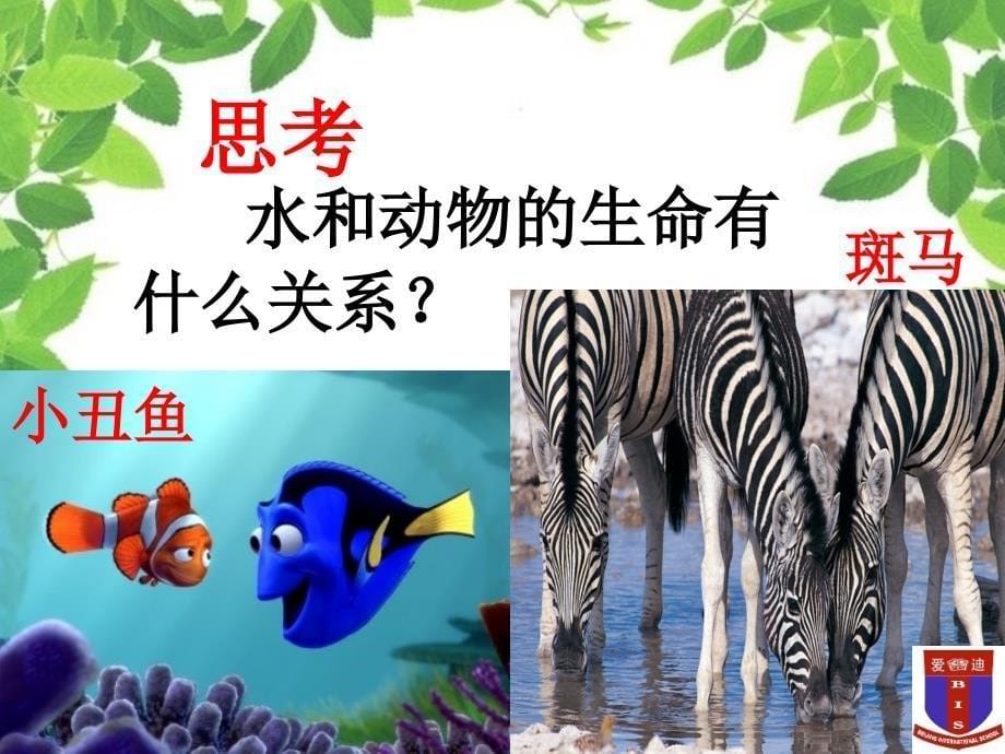 首师大三年级科学水与生命_第5页