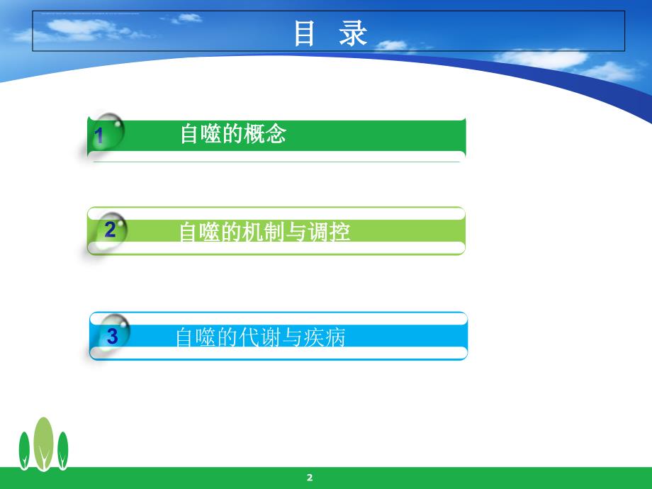 细胞自噬与代谢.ppt_第2页