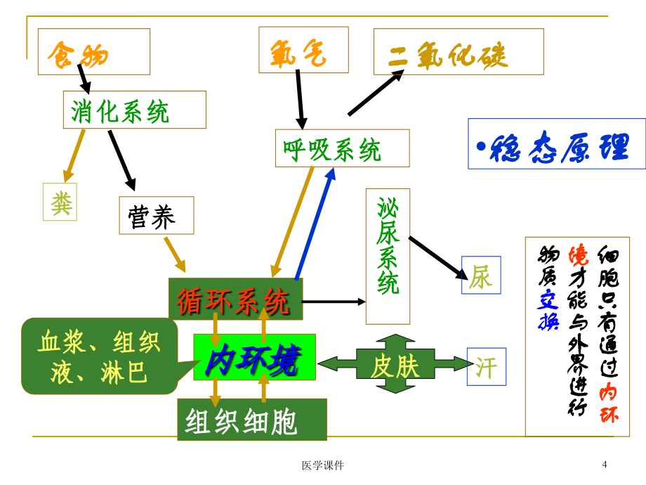 外科护理学-水电解质酸碱代谢失衡病人的护理.ppt_第4页