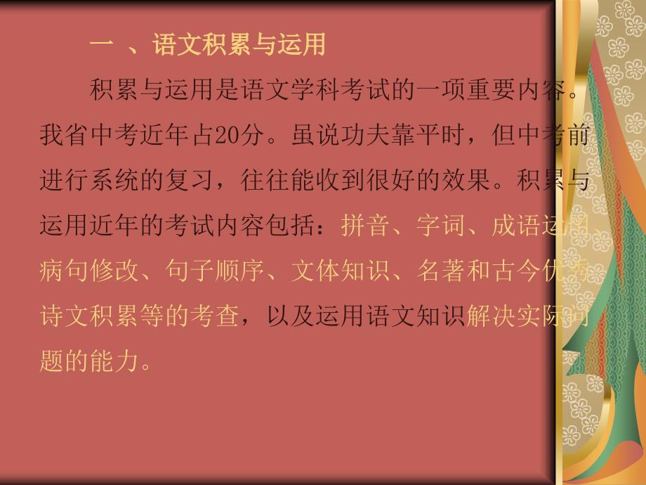 中考语文考点专题复习课件_第2页