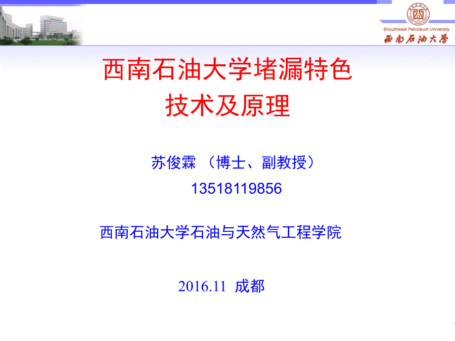 西南石油大学特色堵漏技术汇编_第1页