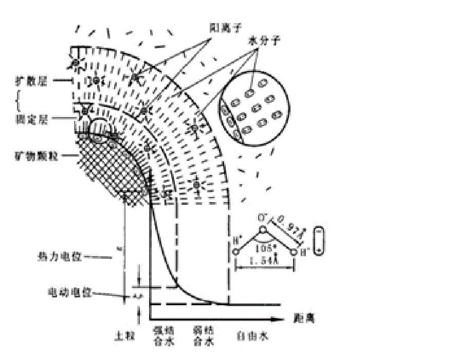 【土力学与地基基础】第二章 土性质与工程分类_第3页