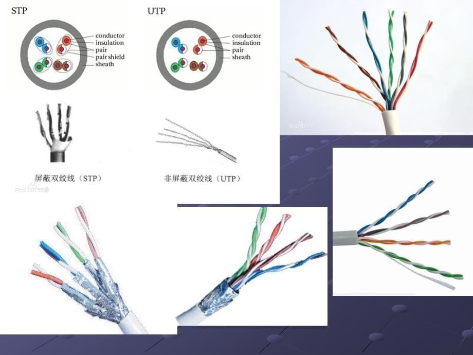 任务二网线_第5页