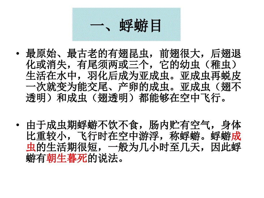 常见昆虫(1)直翅目、螳螂目、同翅目_第4页