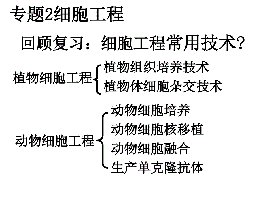 细胞融合(观摩课课件)_第2页