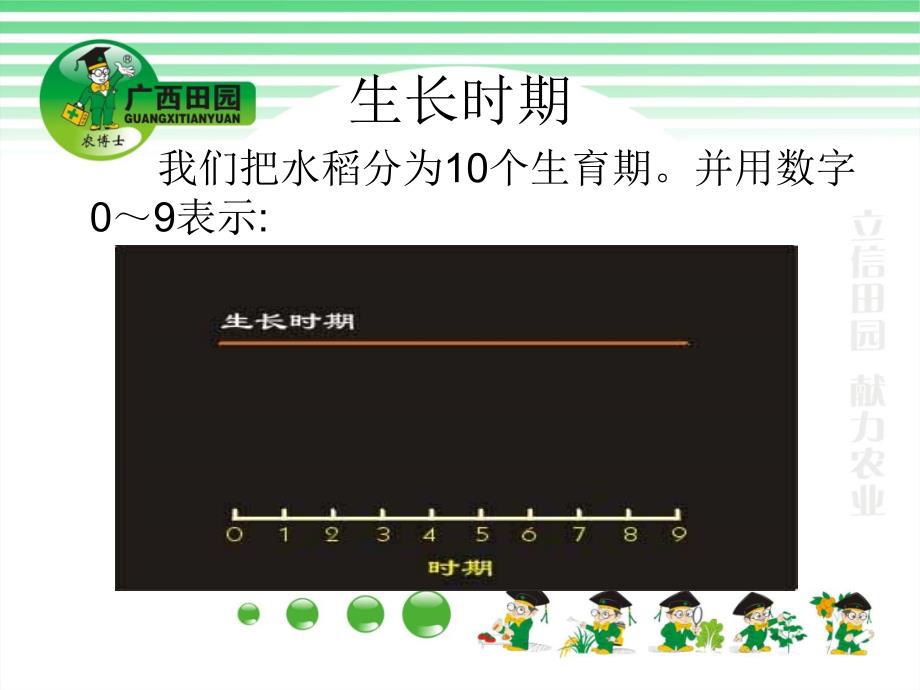 水稻管水与施肥资料_第4页