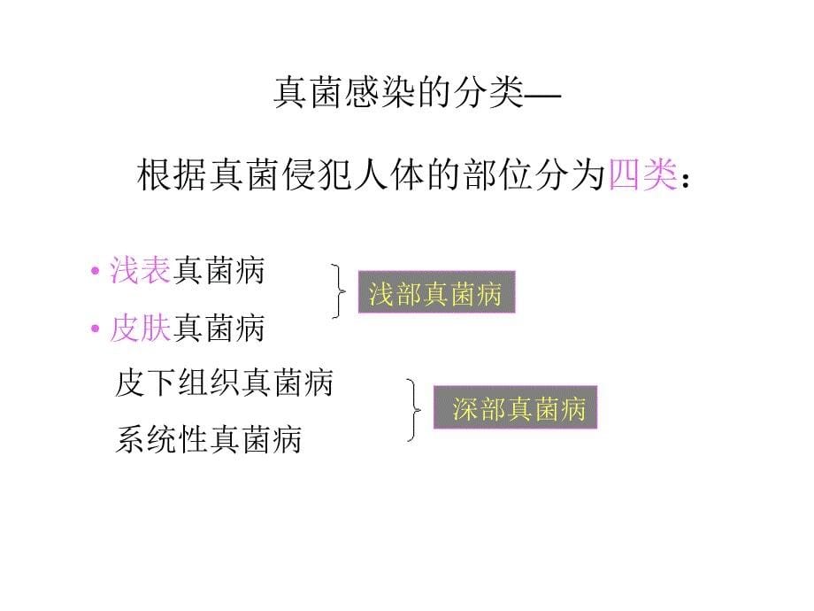 刘萍-抗真菌药物特性及其应用.ppt_第5页