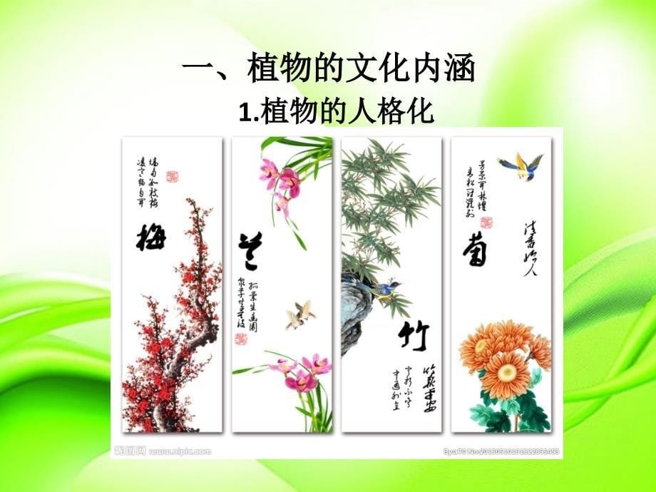 植物的文化内涵及其在园林景观中的应用.ppt_第5页