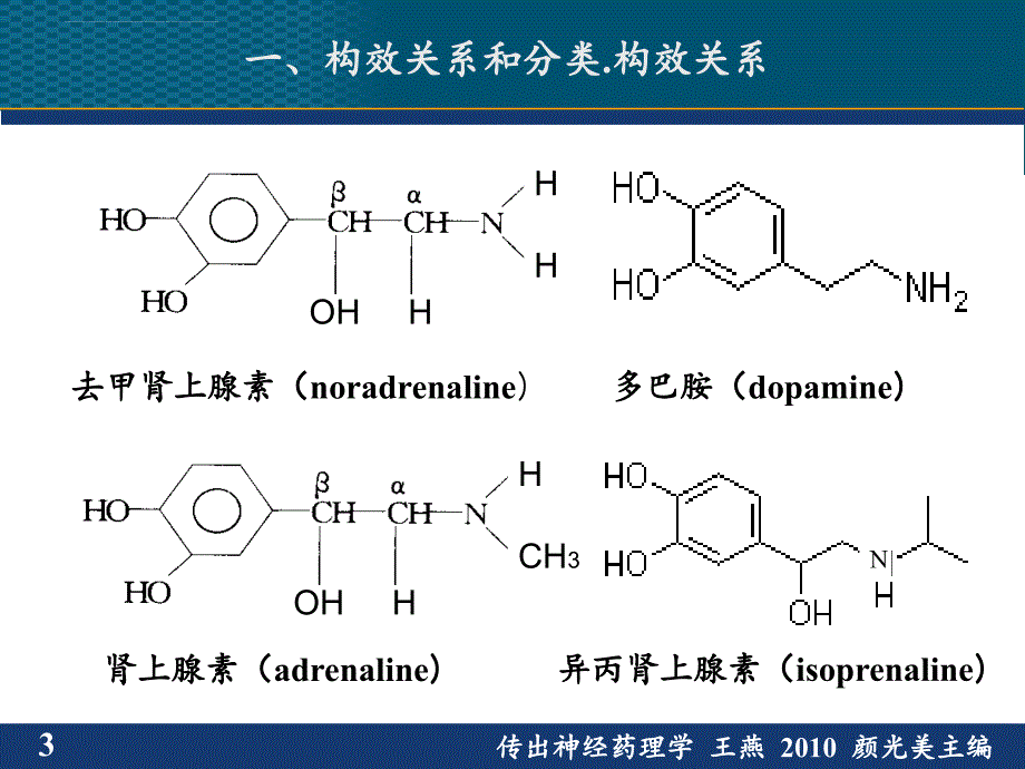 肾上腺素受体激动药_11.ppt_第4页