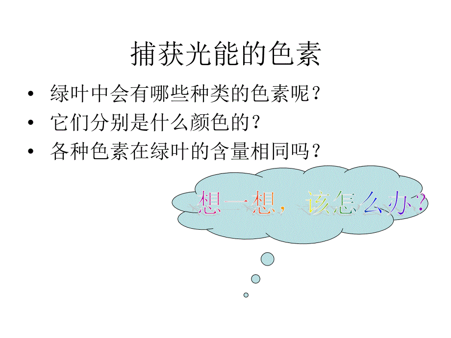 必修一541捕获光能的色素和结构_第4页