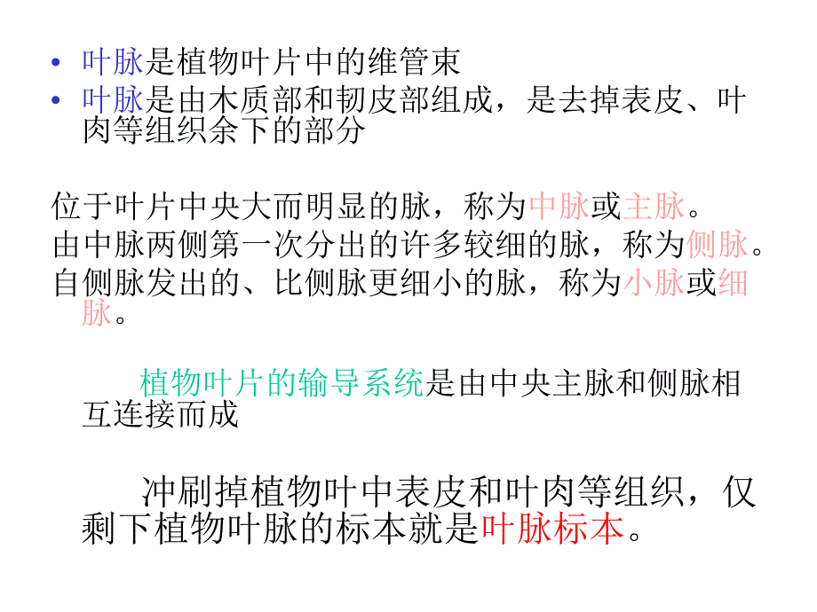 制作叶脉标签资料_第4页