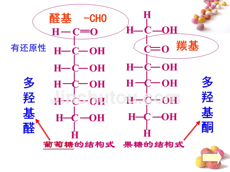 基本营养物质开始版_第5页