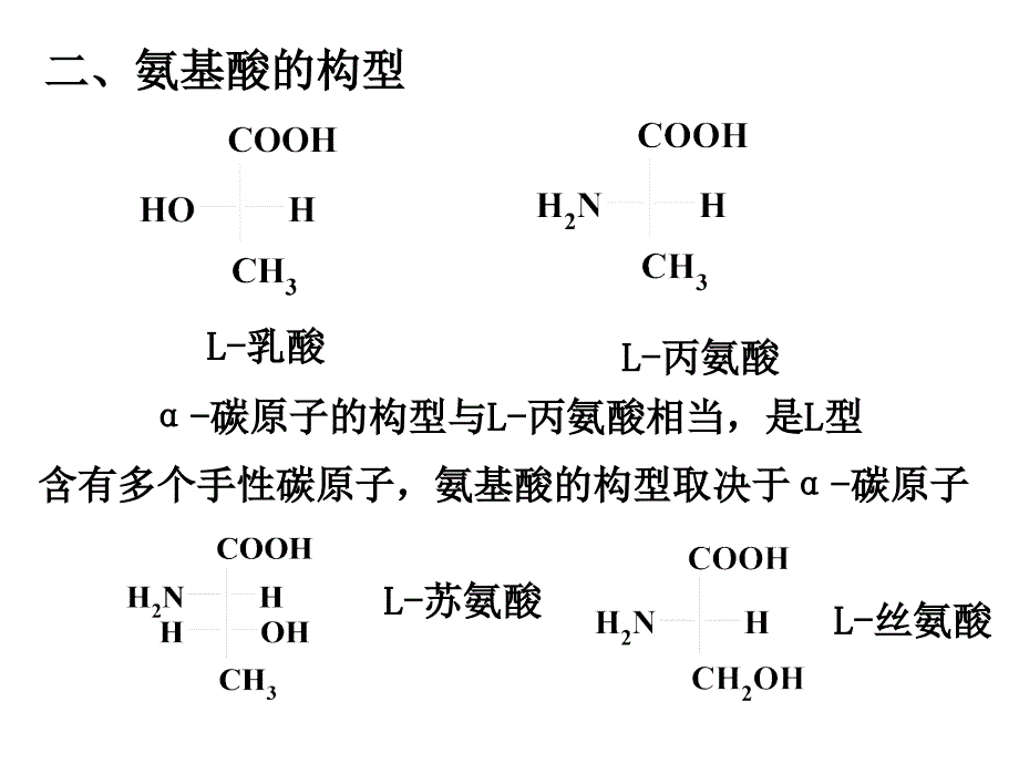 有机化学氨基酸概要_第3页