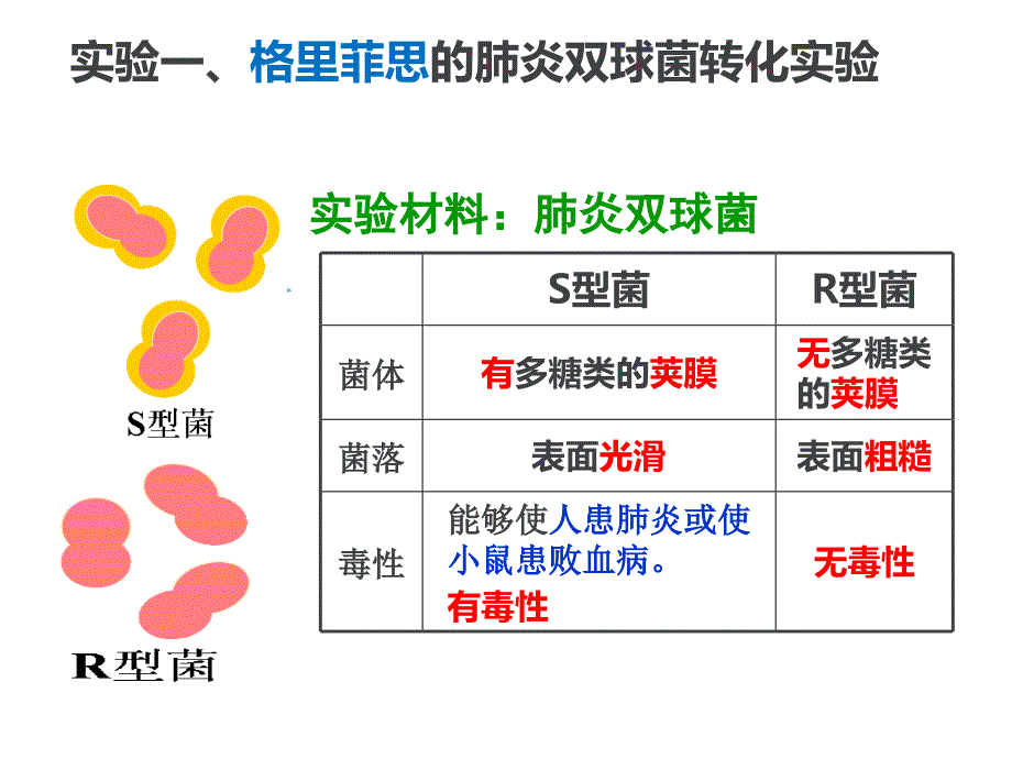 必修二第3章基因的本质_第2页