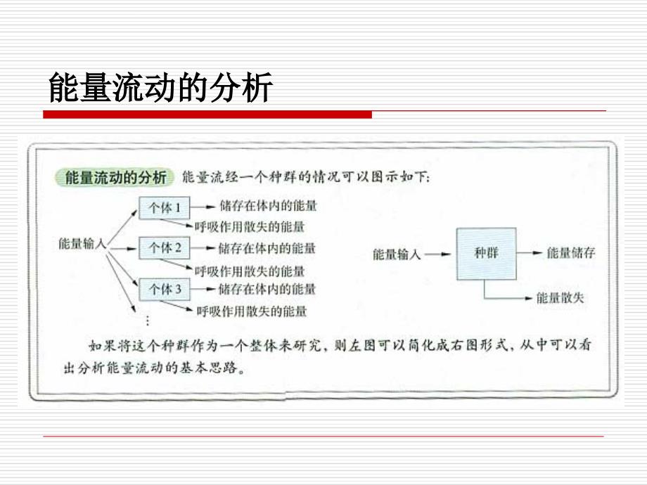 生物：5.2《生态系统的能量流动》课件（新人教版必修3）.ppt_第2页