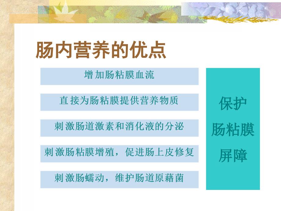 肠内营养讲课.ppt_第3页