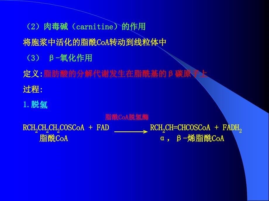 生化(脂类的代谢)_第5页