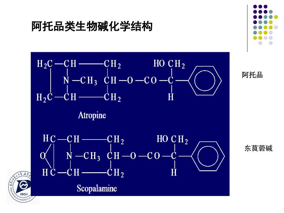 第七章-抗胆碱药_3.ppt_第4页