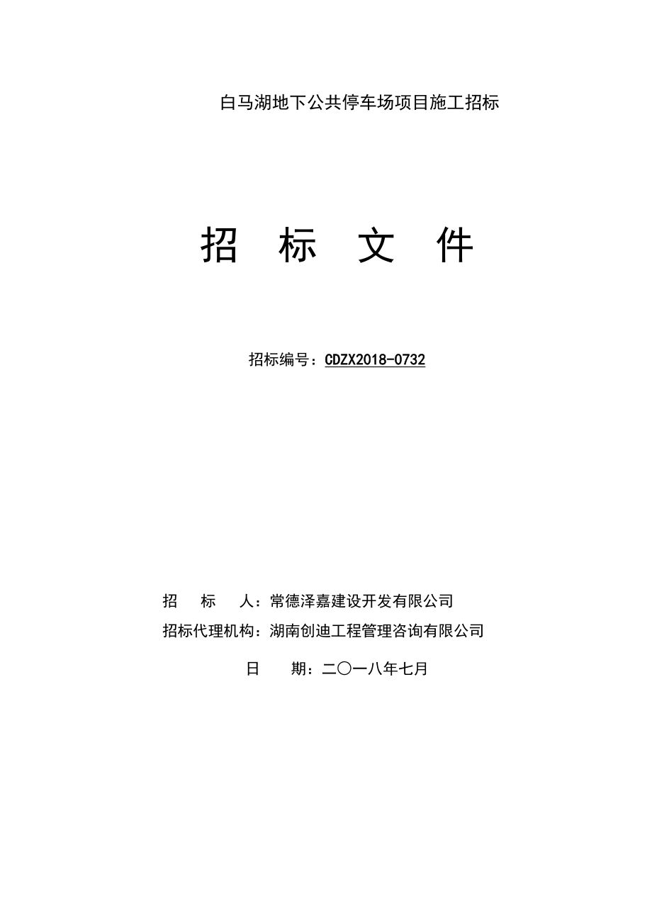 白马湖地下公共停车场项目施工招标_第1页