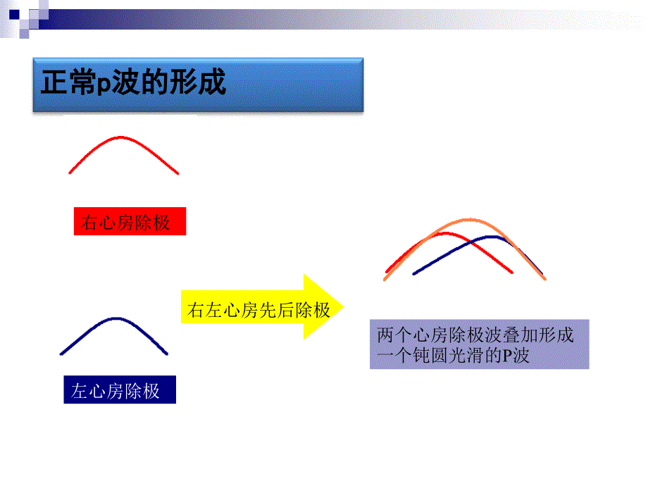 心电图第三~五节_第4页