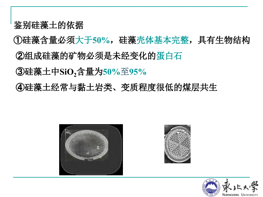 资源型矿物简介、硅藻土概要_第3页