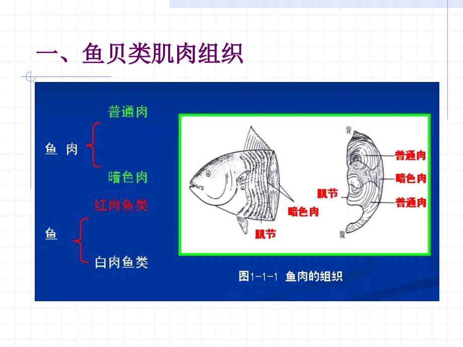 第1章-2-水产食品原料的营养成分_1.ppt_第4页