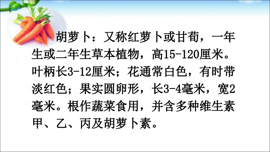 最新优质的人教版部编版三年级上册语文13-胡萝卜先生的长胡子.ppt_第3页