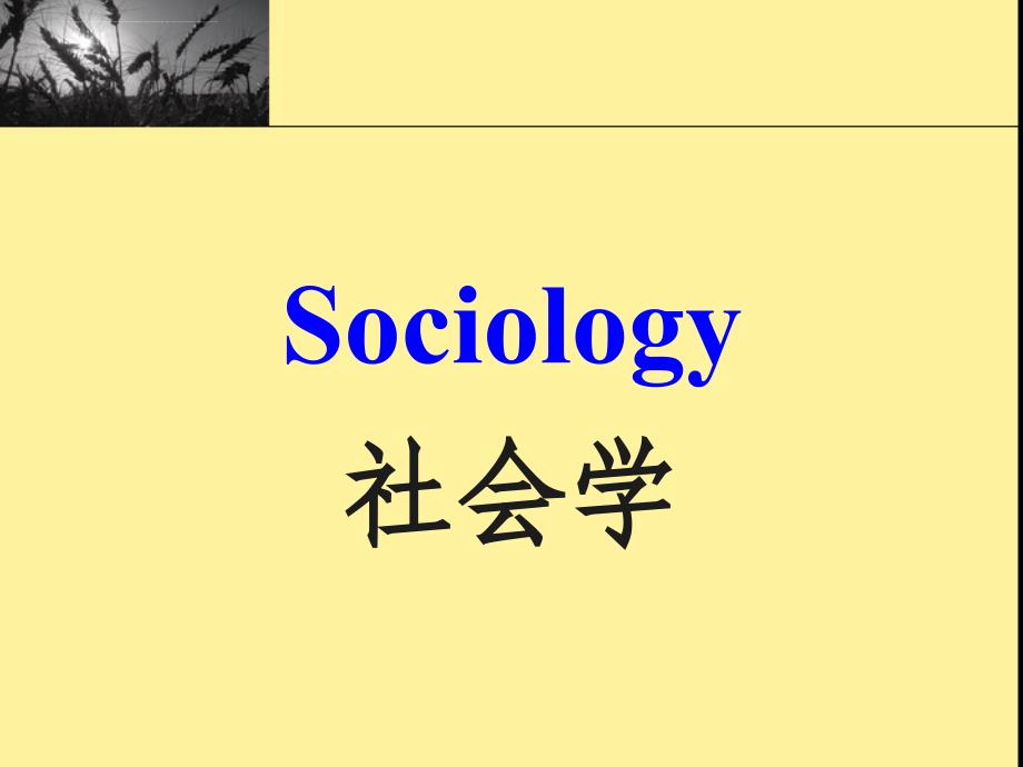 第一章：认识社会学.ppt_第1页