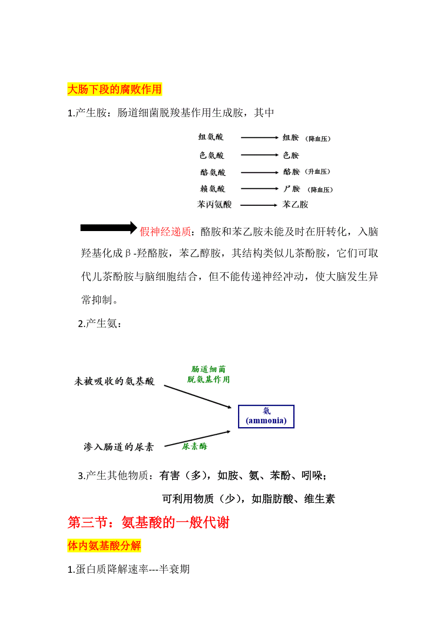 生物化学氨基酸代谢知识点总结汇编_第3页