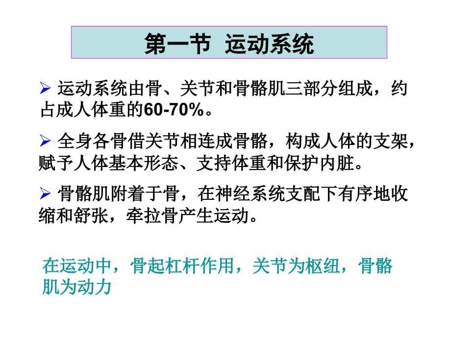 基础医学知识(1)_第5页